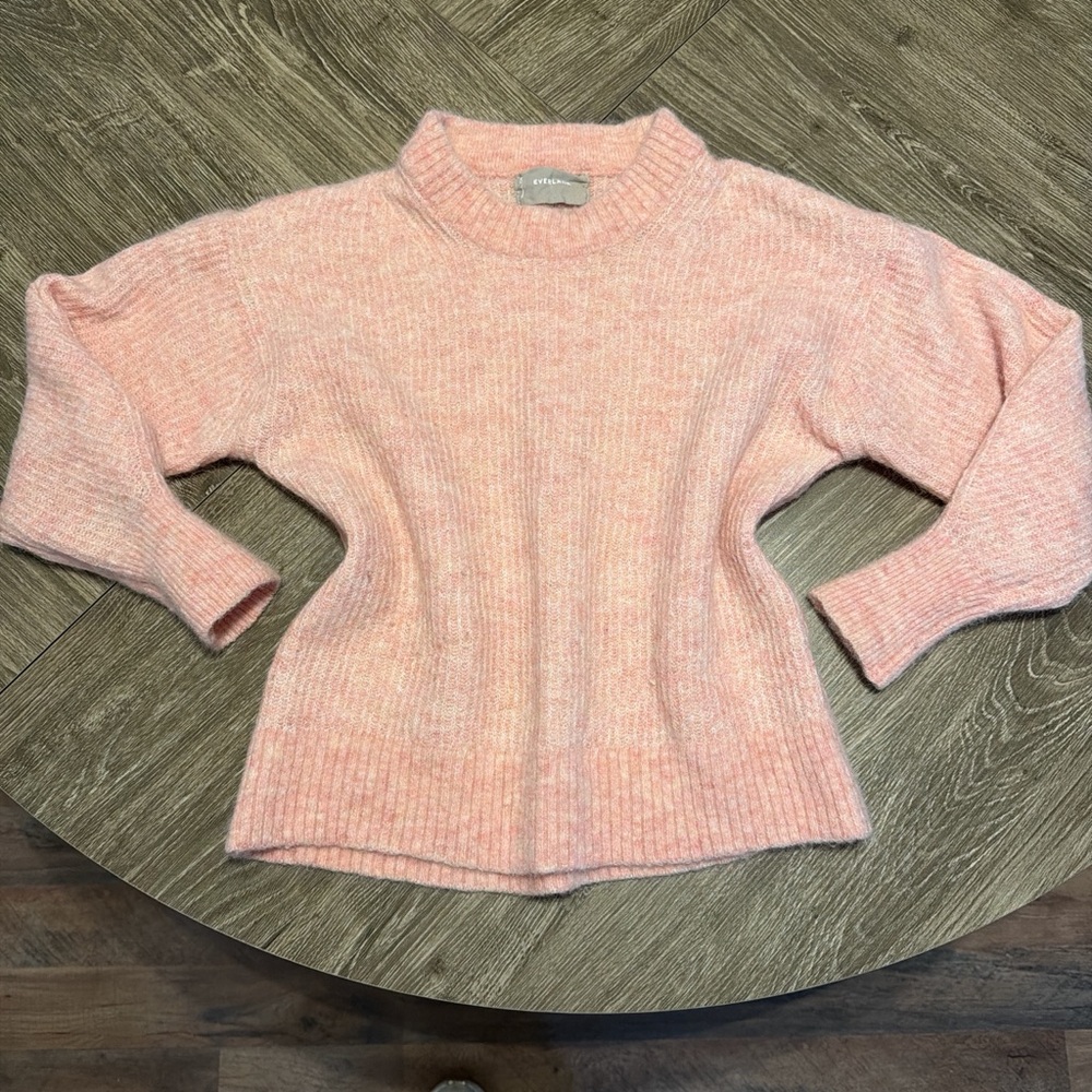 Everlane Soft Pink Turtleneck Sweater